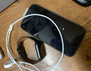 iPhone 16 PM + AW SE 47/26/L SB